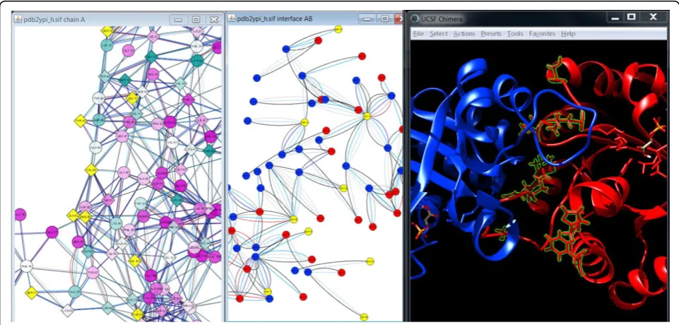 Figure 7 Visualization of the dimer interface with focus on the mutated residues. The combined visualization of the conservation-coloredRIN of chain A of scTIM (left), the residue nodes in the interface between chain A (red) and chain B (blue) of scTIM (mi