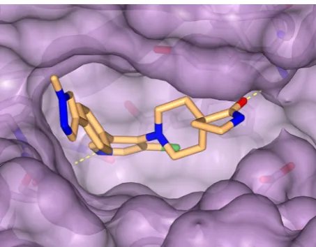 Figure 3. Crystal structure of the chemical tool CCT251545 bound to the CDK8-cyclin C complexThe inhibitor CCT251545 is shown in gold, CDK8-cyclin C is displayed in purple and key hydrogen bond interactions are shown inyellow (PDB ID code 5BNJ).