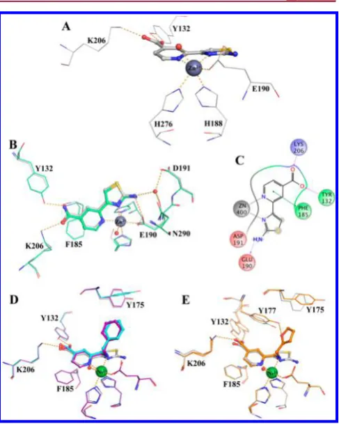 Table 3. 2-(2-Aminothiazol-4-yl)isonicotinic Acid Derivativesb