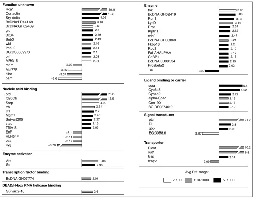 Figure 2Known transcripts differentially expressed in response to overexpression of expression level of a gene is increased (upregulated) following between differentially expressed transcripts in heat-shocked wild-type embryos and heat-shocked average diff