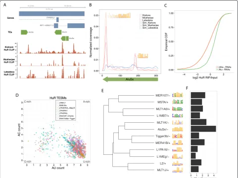 Figure 3 HuR binds U-rich motifs in antisense Alu elements. (A) CLIP-Seq alignments from three different studies demonstrated HuR bindingwithin an antisense AluSx in the 3′ UTR of ITPRIPL2, (B) which generalized to genome-wide binding to two poly-U tracts 