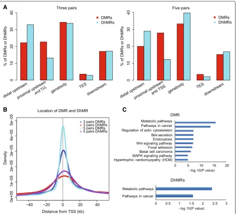 Figure 2 The distribution of DMRs and DhMRs. (A) The distribution of DMRs and DhMRs within genomic regions