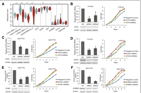 Figure 4 The effect of siRNA knockdown on hepatocellular carcinoma cell growth. (A) Validation of DNA methylation for biological replication(blue box indicate non-HCC and red box indicate HCC samples)