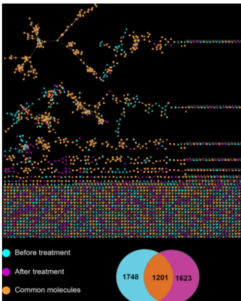 FIG 2 Molecular network analysis of UPLC-Q-TOF MSbefore treatment, after treatment, or both