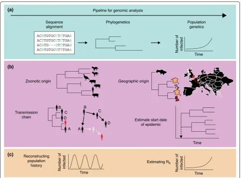 Figure 1 Contribution of genomic analysis to epidemiological studies of emerging infectious diseases
