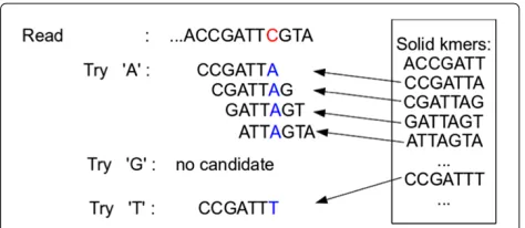 Figure 2 An example of the greedy error correction procedure.k-mer CCGATTC does not appear in Bloom filter B, so we attempt tosubstitute a different nucleotide for the C shown in red