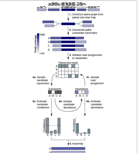 Figure 1 Outline of the Bayesembler algorithm. (1) A splice graph is first constructed from the RNA-seq data