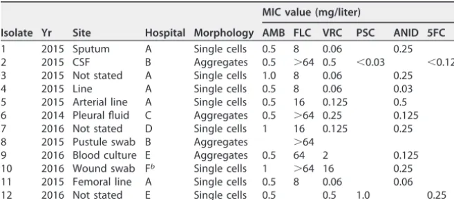 TABLE 1 Origin of the Candida auris strains employed in this studya