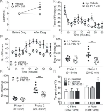 Fig. 8. VEGF receptor 2 blockade leads to attenuation of nociceptive pain behavior in rats