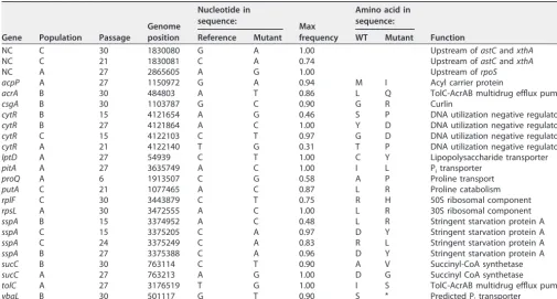 TABLE 1 High-frequency mutationsa