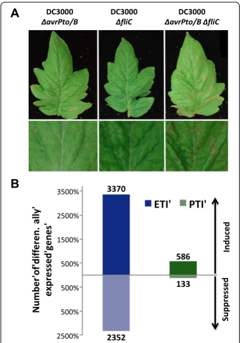 Figure 1 Transcriptome changes associated with Pto/Prf-mediatedETI and flagellin-activated PTI