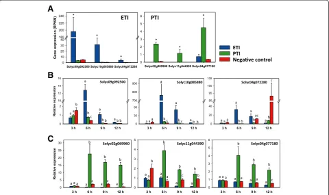 Figure 3 Development of Pto/Prf-mediated ETI and flagellin-activated PTI reporter genes