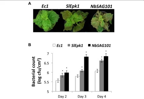 Figure 6 SlEpk1-silenced plants are compromised in resistance elicited by HopQ1-1 recognition in N