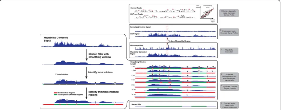 Figure 1 Flowchart of MUSIC. H3K36me3 ChIP and control data in the region chr1:55,170,679-55,240,996 of the K562 cell line is used forillustrating the signal processing steps