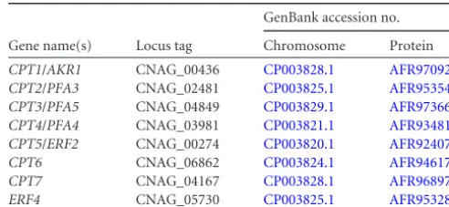 TABLE 2 C. neoformans genes