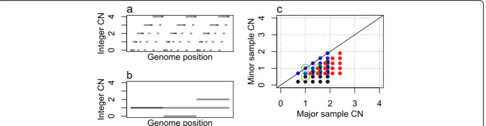 Figure 2 Grid plot of a simulated, subclonal tumor sample. (a) Genome integer CNs in the aneuploid subclone A