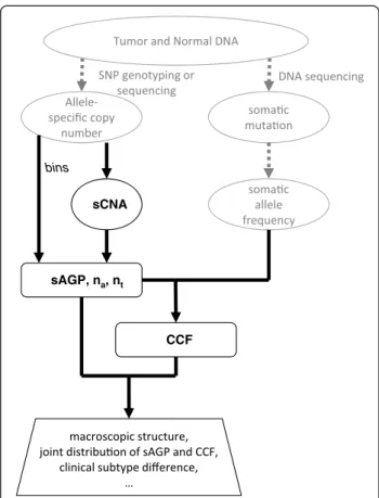 Figure 1 Schematics of CHAT pipeline. Tumor and Normal DNA samples are profiled for allele-specific copy number alterations by SNP arrays and somatic mutations by DNA sequencing
