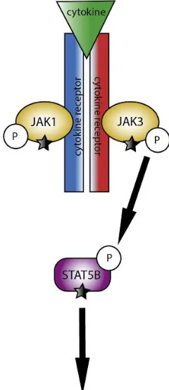  Fig.2 