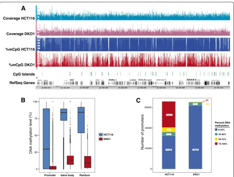 Figure 1 Whole genome bisulfite sequencing comparative analysis of HCT116 and DKO1 cells