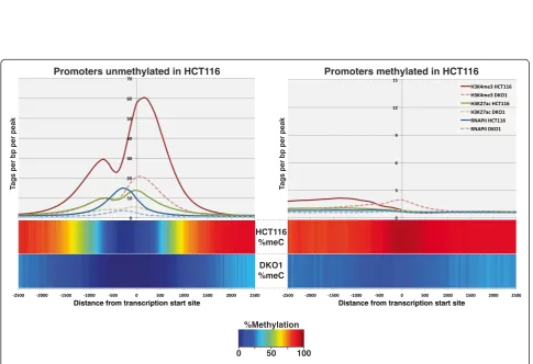 Figure 2 Overview of ChIP-seq data in HCT116 and DKO1 cells. Shown is a region of chromosome 6 illustrating the reduction in levels ofactive marks in DKO1 cells compared with HCT116 cells, for RNAP II (blues), H3K4me3 (reds), H3K27ac (greens), and H3K36me3