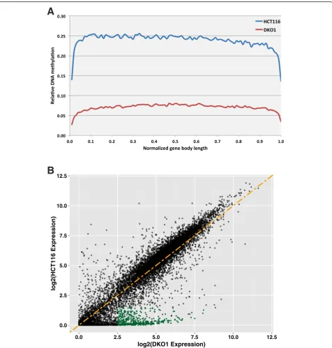 Figure 4 A small set of promoters are de-repressed in DKO1 cells. (A) Plot showing relative DNA methylation across the gene bodies of allRefSeq genes in HCT116 and DKO1 cells