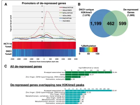 Figure 5 Identification and characterization of de-repressed genes. (A) Average DNA methylation percentage (heat bar) and densities ofChIP-seq tags for H3K4me3 (reds), H3K27ac (greens), and RNAPII (blues) are plotted relative to the transcription start sit