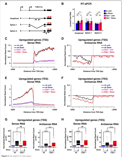 Figure 5 (See legend on next page.)
