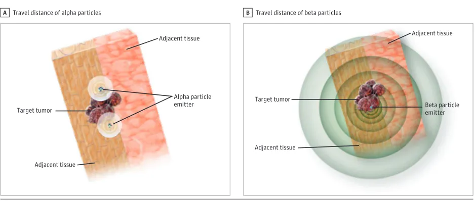 Figure 2. Relative Alpha Particle vs Beta Particle Emission Range in Tissue