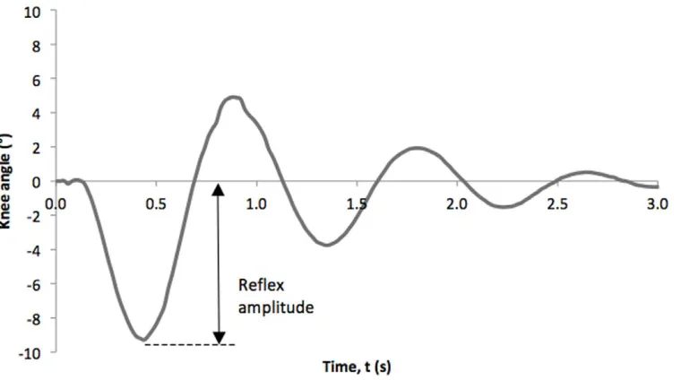 Figure 1. Representative knee angle of a patellar tendon reflex test. Time 0 is the time the reflex hammer struck the patellar tendon