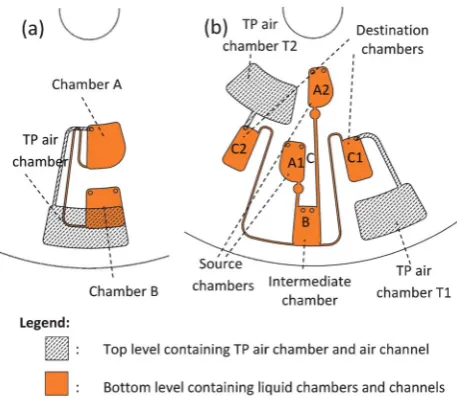 Fig. 5 (a) A design to demonstrate push-pull pumping. Liquid will be pushedfrom chamber A to B, and will then be pulled from chamber B to A