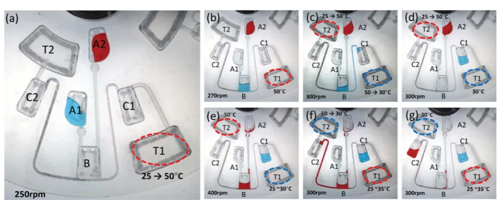 Fig. 8 (a) Coloured liquids are individually loaded into chambers A1 and A2. The heat source is then powered ON over TP air chamber T1