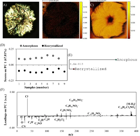 Figure 2. Felodipine crystalline nuclei on amorphous quench-cooled films observed by two microscopy techniques: (A) polarized micros-copy; and ToF-SIMS imaging of (B) C5Cl- secondary ion (m/z = 94.97) and (C) C3NO- secondary ion (m/z = 66.00) normalized to