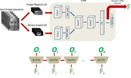 Figure 1. A graphical overview of our training pipeline: The colored rectangles in the input image sequence shows the different imageregions selected for different AUs