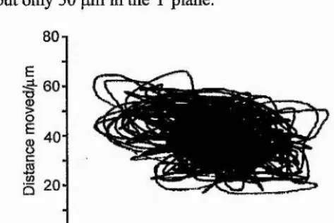 FIGURE 2.4; Beam pointing instability of the mainframe laser SP3800 (fitted with SP3000 optics and a 1.0 mm aperture) recorded two metres away from the laser at a large beam waist over a period o f oneminute.