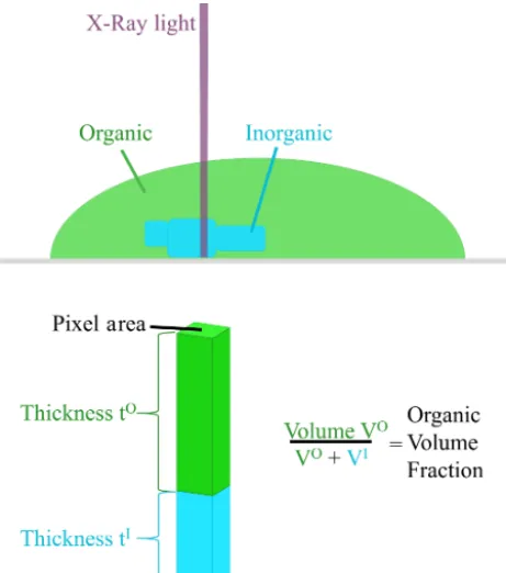 Figure 2. Visual of organic volume fraction (OVF) calculation with2 µm particle and 30 nm spot size.