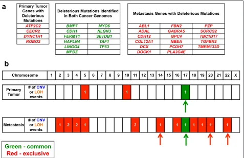 Figure 2 Comparison of the genetic aberrations in the primary tumor and metastasis. Common versus exclusive genetic aberrations arecompared between the two tumor genomes