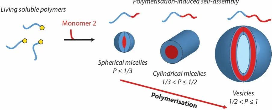 Figure 2: Schematic of the polymerisation-induced self-assembly (PISA) of amphiphilic block 