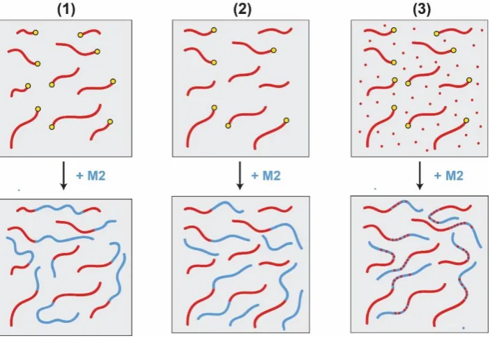 Figure 3: Schematic depicting impurities that can arise from one-pot CLRP diblock copolymer 