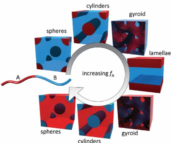 Figure 6: Schematic depicting the most commonly encountered morphologies resulting from self-assembly of diblock copolymers (AB), displayed in order of increasing block A volume fraction, fA