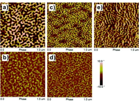 Figure 8: AFM images of films prepared from block (A, C) and gradient (B, D, E) copolymers 