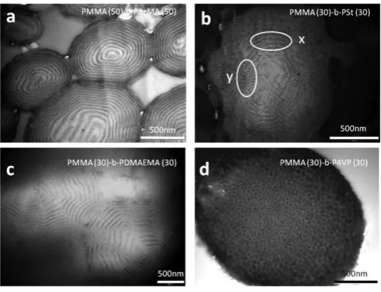 Figure 9: TEM images demonstrating different morphologies observed within microparticles of near-symmetrical block copolymers synthesised by RAFT scCO2 dispersion