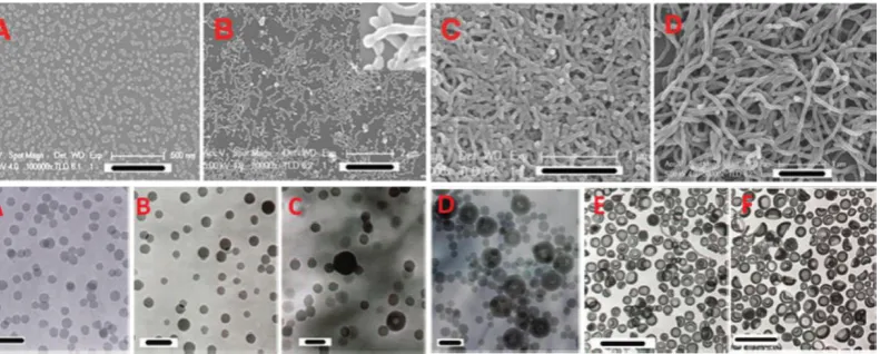 Figure 11: Morphology development during RAFT dispersion polymerisation of St in 