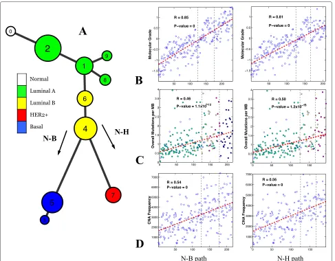 Figure 7 Model constructed using the TCGA dataset and its association with clinical and genetic variables.highly correlated with the N-B (first column) and N-H (second column) progression branches