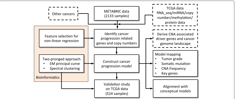Figure 1 Workflow of the stepwise study. The tasks listed in the dashed-line rectangles are possible extensions and applications of the study andare discussed in the text