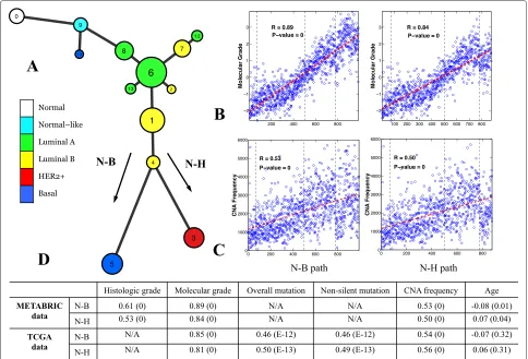 Figure 5 Model constructed using the METABRIC dataset and its association with clinical and genetic variables.molecular grade, mutation rate and patient age with the two main progression paths