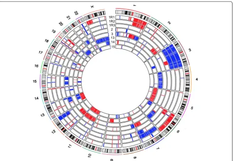 Table 2 Summary of common deleted regions in relapse samples