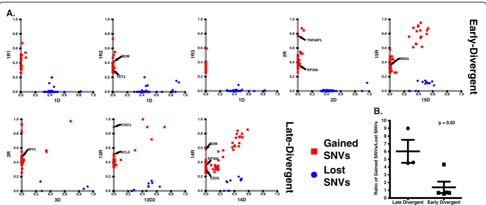 Figure 2 Different patterns of SNV gain and loss between the early and late-divergent modes