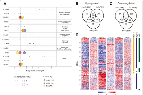 Figure 2 Altered lncRNAs across lung cancer subtypes. (A) Expression levels of lncRNAs with known oncogenic function across three lungcohorts, denoted by different colors