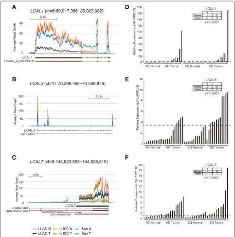Figure 4 LCAL expression in lung cancer. (A-C) Coverage maps showing the average expression levels of tumor and normal samples acrossall three lung cancer cohorts for LCAL1 (A), LCAL5 (B), and LCAL7 (C)