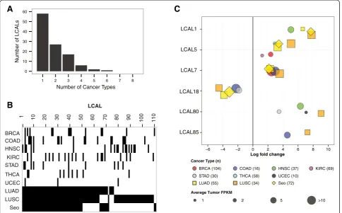 Figure 5 Aberrantly expressed lncRNAs across human cancers. (A) Distribution of the number of cancer types in which LCALs aredifferentially expressed